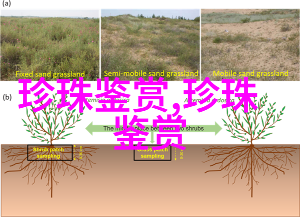 深圳京基宸悦府建面户型图鉴赏